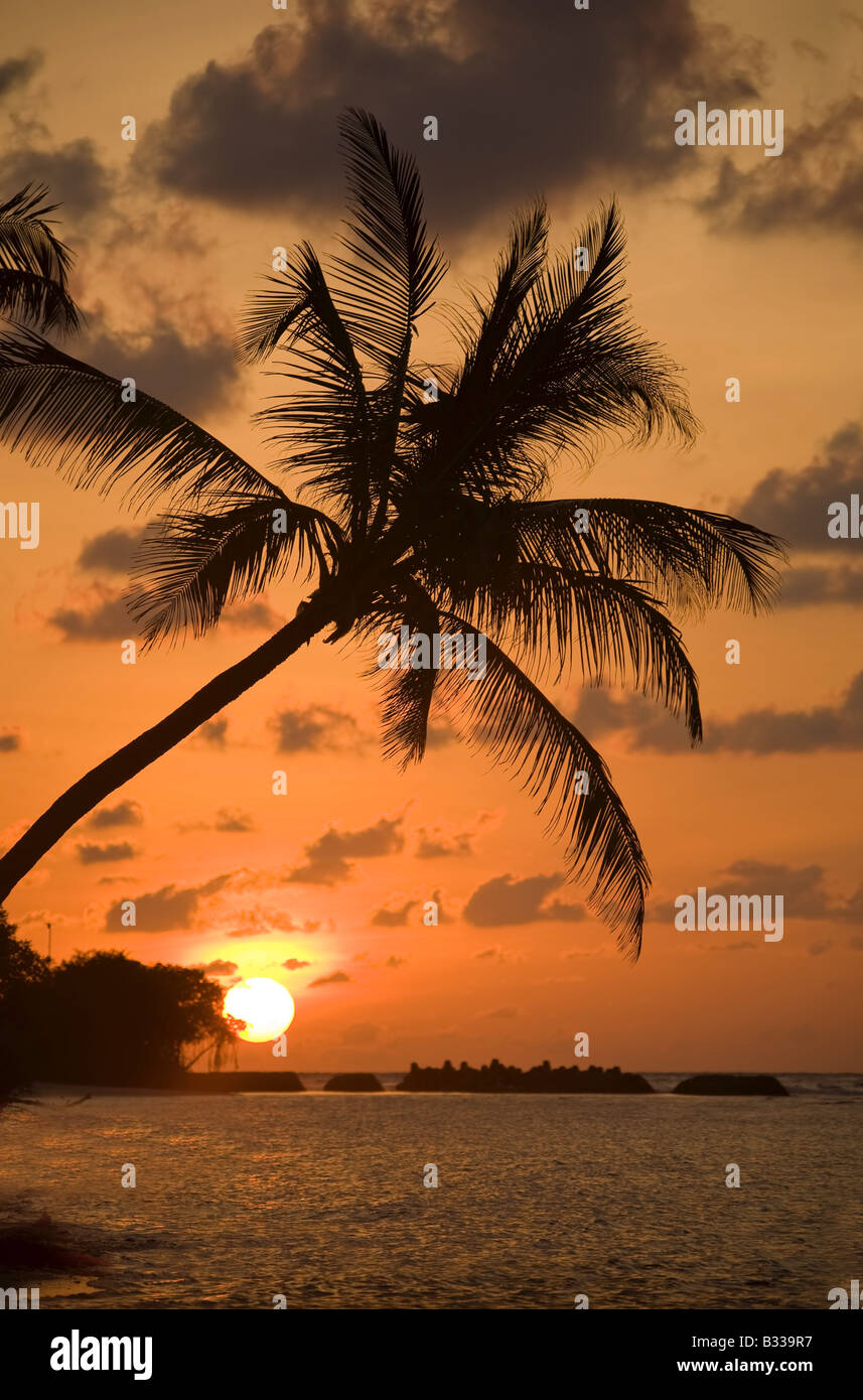 Sonnenuntergang am Traumstrand Stockfoto