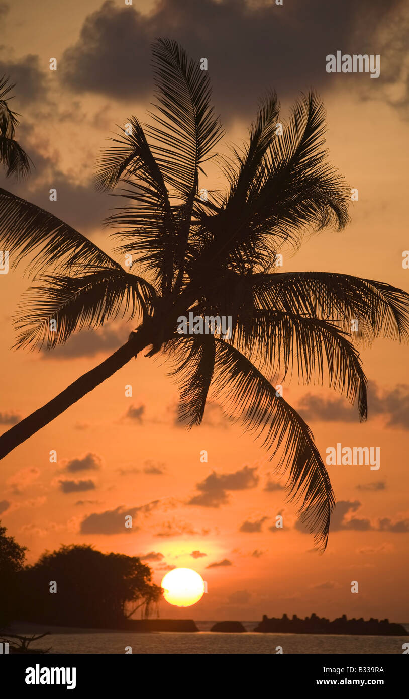 Sonnenuntergang am Traumstrand Stockfoto