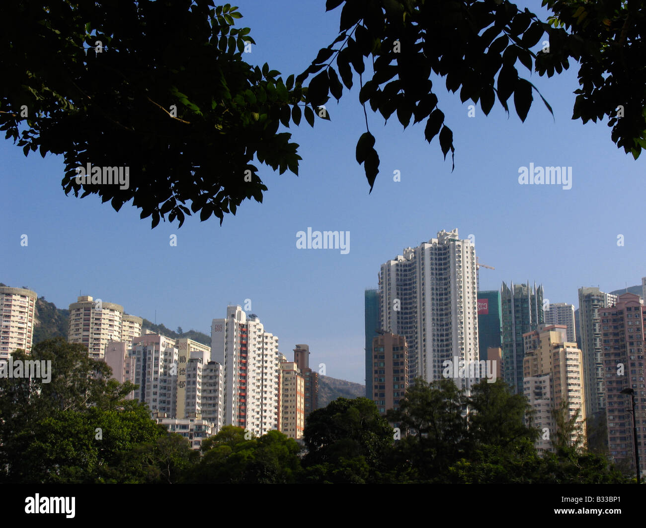 Moderne Skyline von Hong Kong gesehen vom Victoria Park, Hong Kong, China Stockfoto