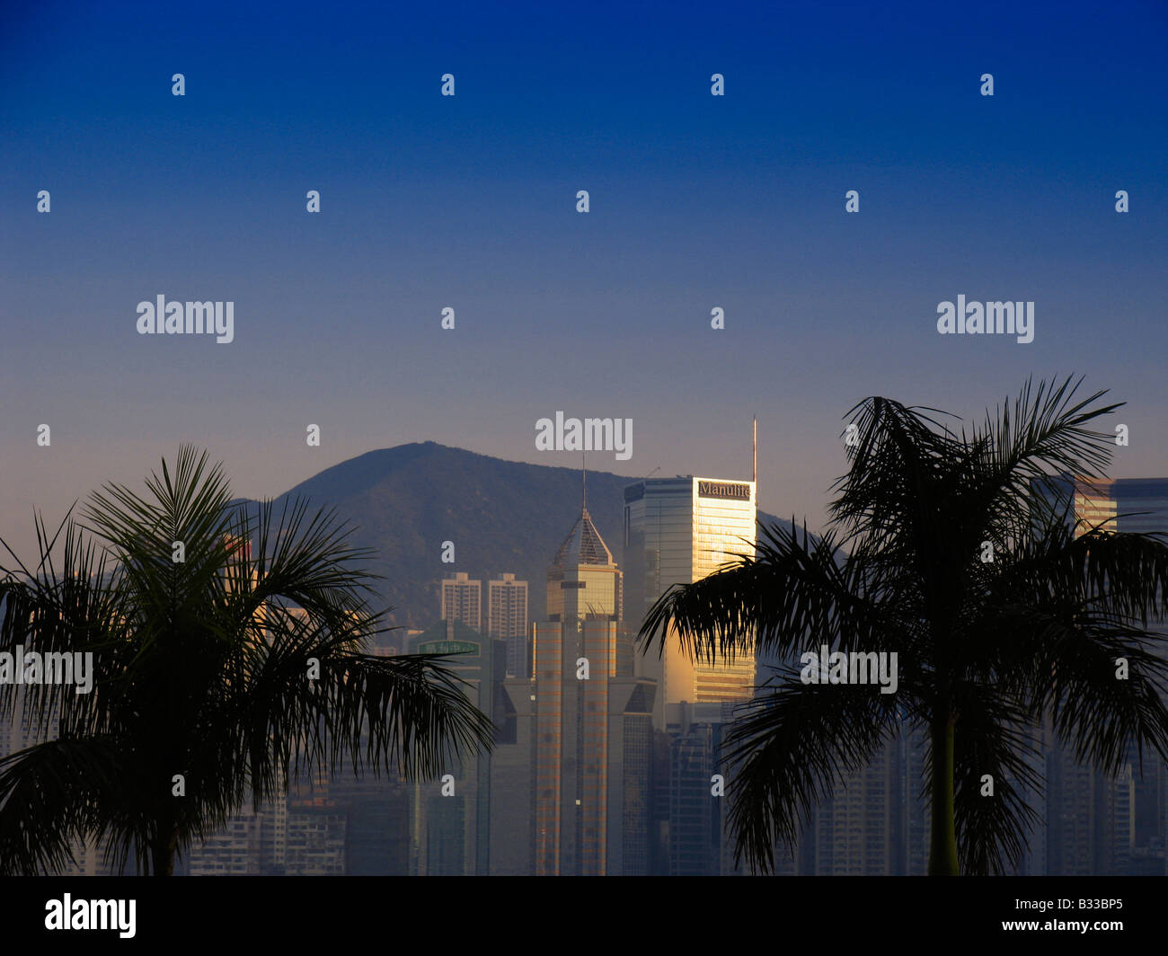 Skyline Hongkongs Central District mit Palmen. Stockfoto