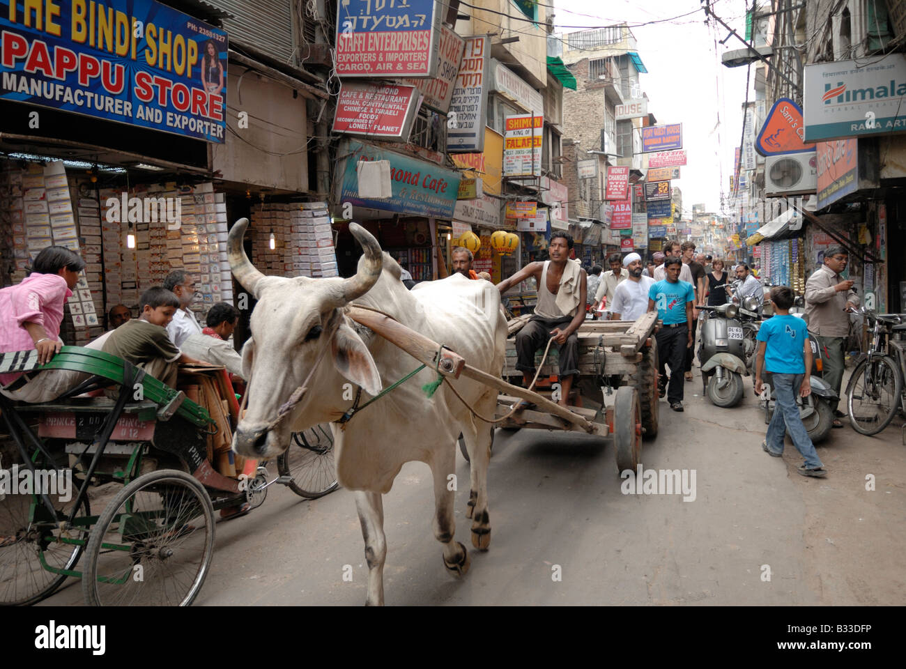 Ochsenkarren in der Straße von Delhi, Indien. Stockfoto