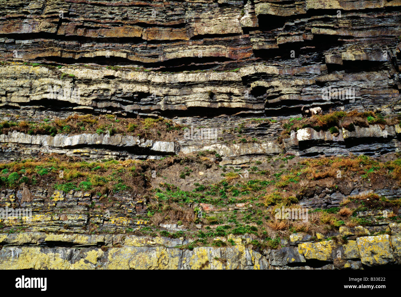 Die Ross-Formation ist eine Klippe der exponierten Lagen von Sediment. Stockfoto