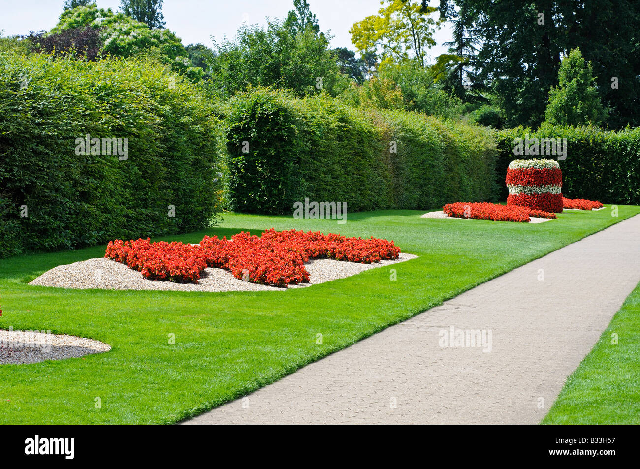 Blumenbeet in der Form des chinesischen Drachens gemacht von Begonia SUPER OLYMPIA rot Stockfoto