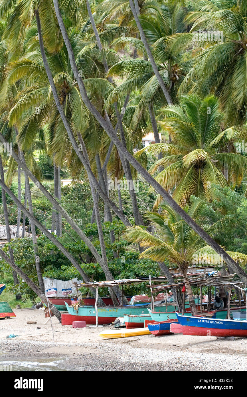 Helle farbige Fischerboote am Strand von Soufrière, mit Palmen und Unterstände [3]. Saint Lucia, Karibik. Stockfoto