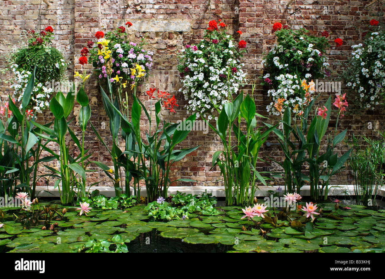 Seerosenteich mit Petunien und Geranien an der Wand hängen Stockfoto