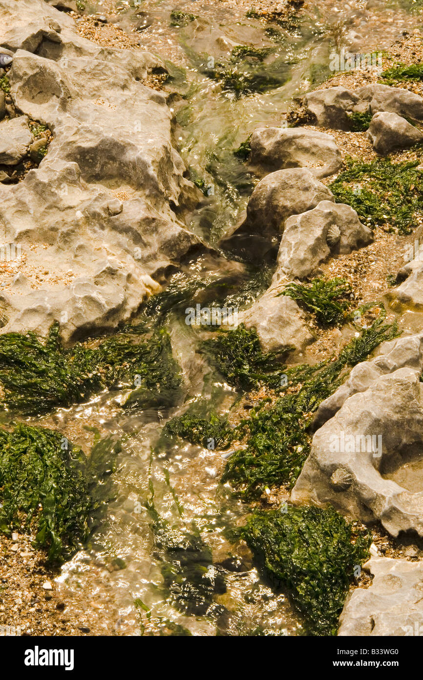 Frisches Wasser läuft durch einen Rock-Kanal zum Meer am Strand von Porthcawl Stockfoto