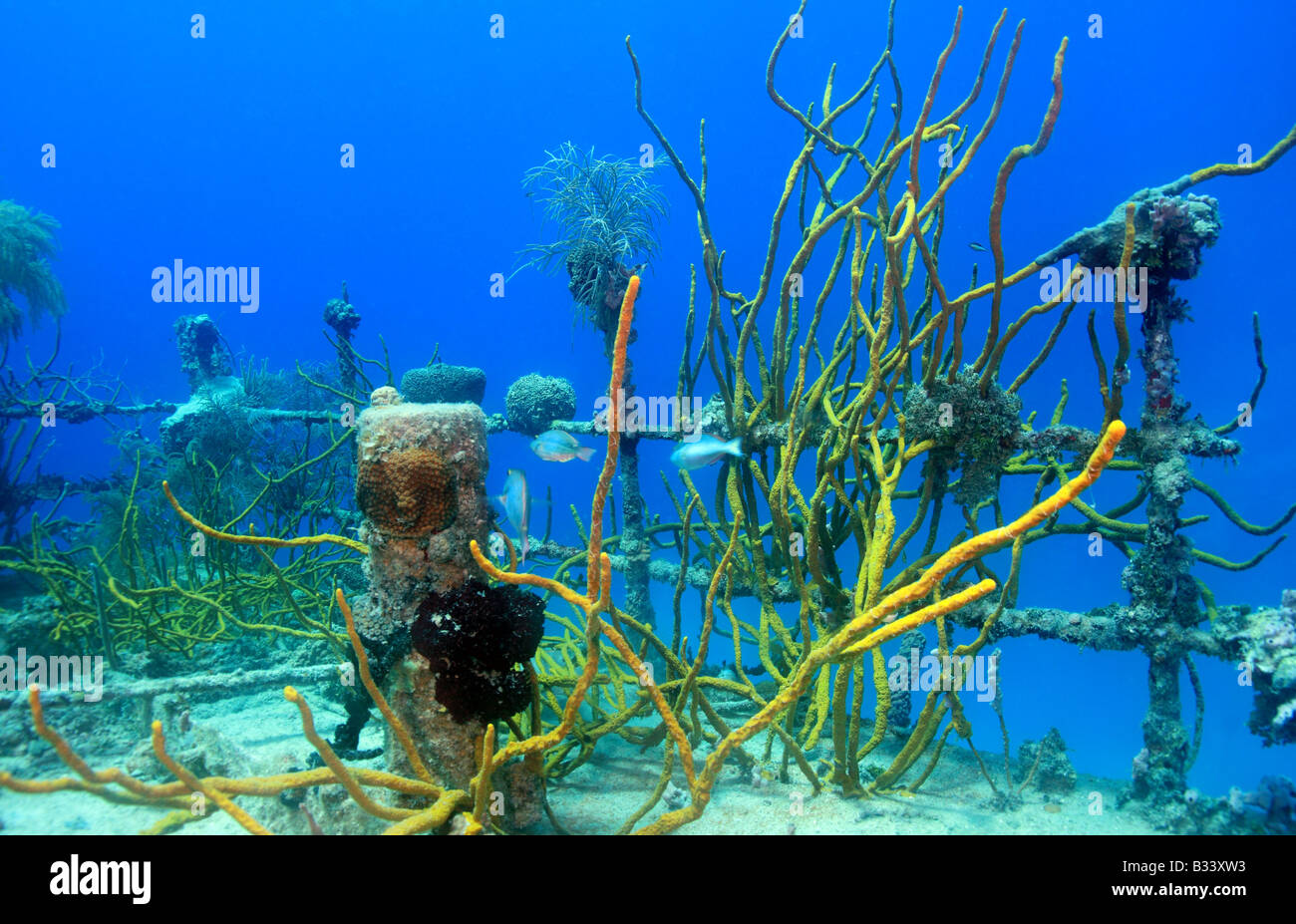 Unterwasser Schiffbruch des Preises Albert. Die Rezeption und die Geländer in weniger als 30 Fuß Wasser abseits der Küste von Roatan, Honduras Stockfoto