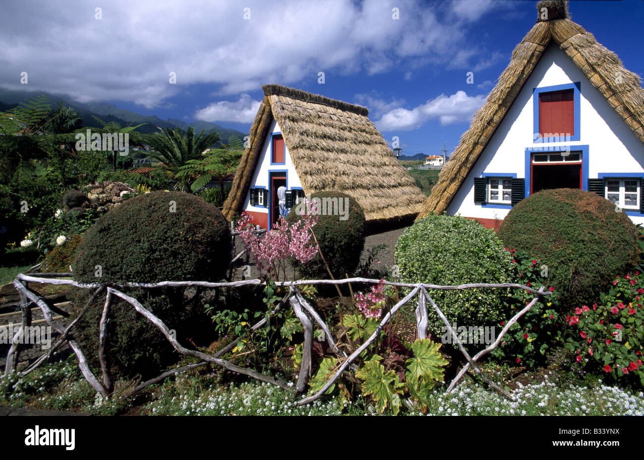 Casas de Colmo in Santana auf der Insel Madeira Stockfoto