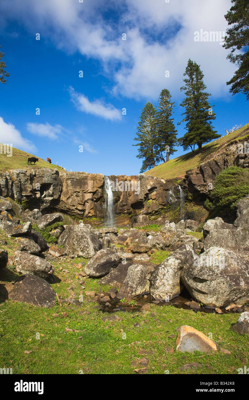 Ein Portrait Blick auf Cockpit Wasserfall umgeben von Felsen und Norfolk Pine Bäume an einem hellen Wintertag in Norfolk Island, Australien Stockfoto