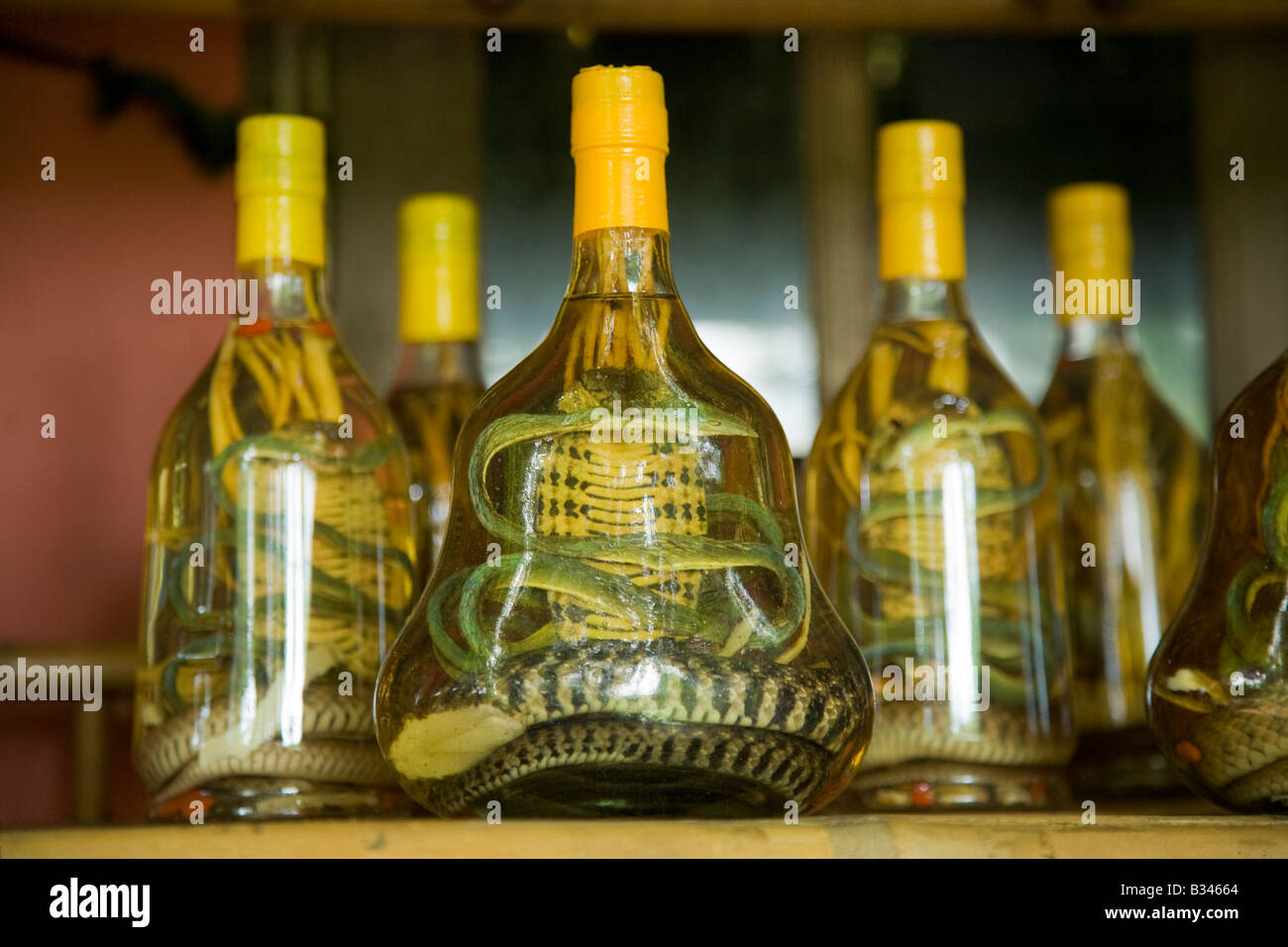 Snake Wein zum Verkauf in Süd-Vietnam Mekong Delta Stockfoto