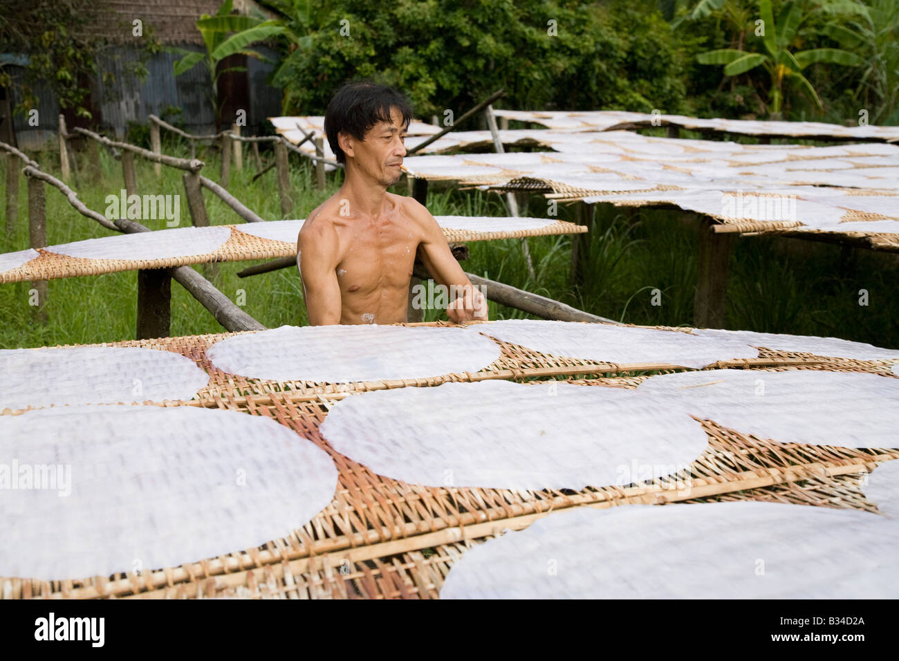 Eine vietnamesische Arbeitskraft frisches Reis-Papier im Bereich trocknen Stockfoto