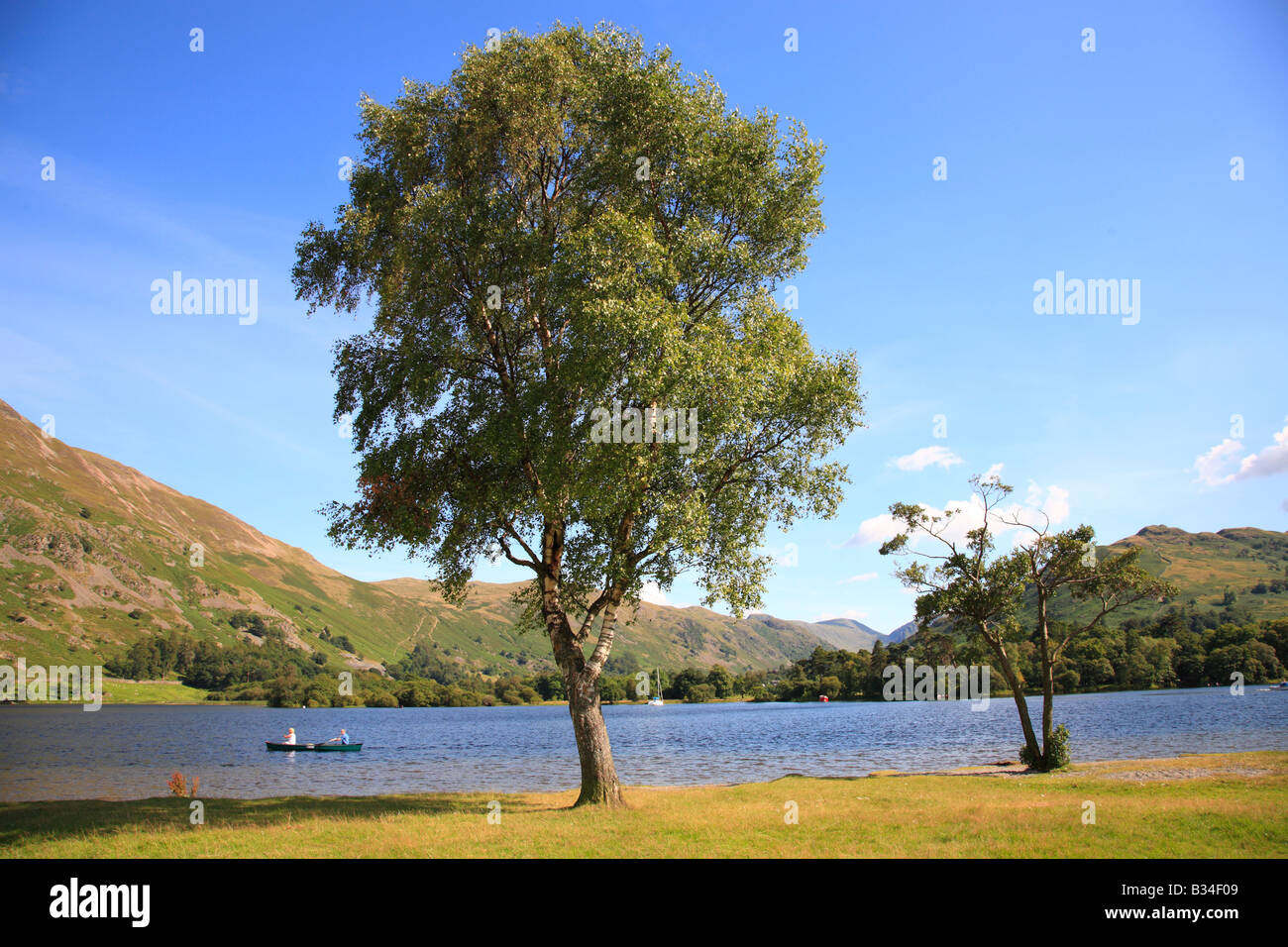 Silver Birch Tree am Ufer eines Sees mit zwei Personen Rudersport in der Ferne an einem Sommertag. Stockfoto
