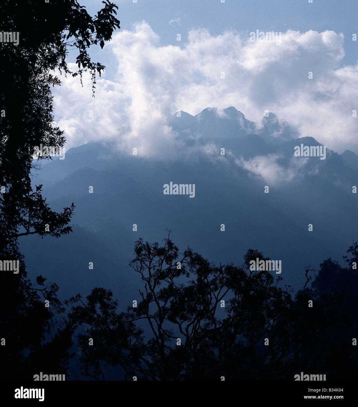 Uganda, westlichen Uganda, Ruwenzori-Gebirge. Das Portal Peaks, 14.000 Fuß aus Nyabitaba-Hütte (8.700 Fuß) als Wolken beginnen am späten Nachmittag zu zerstreuen. Stockfoto