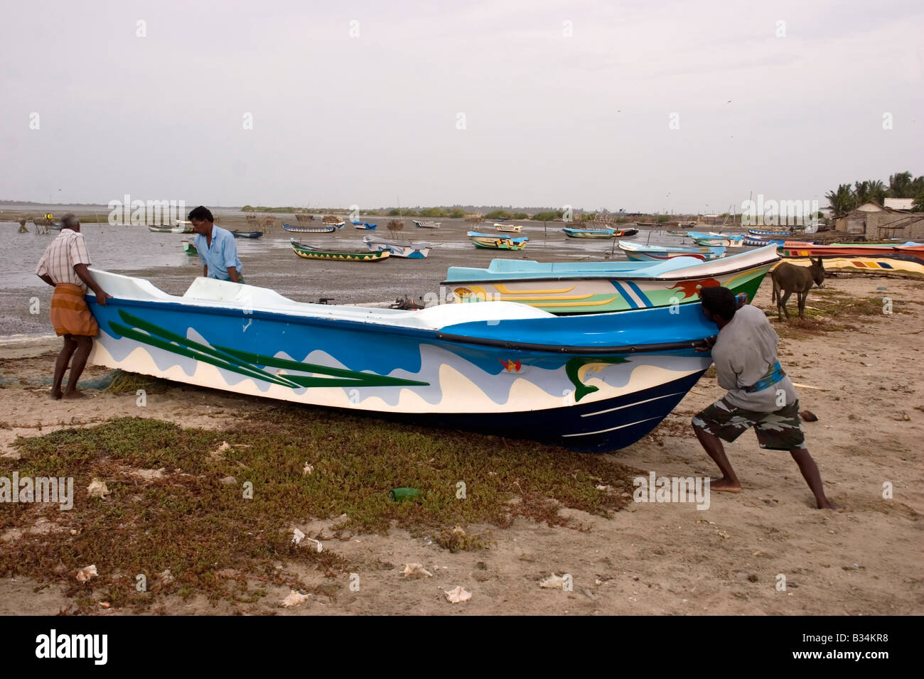 Kampf der Fischer ihre Boote in den Ozean, Mannar, Sri Lanka zurück. Stockfoto