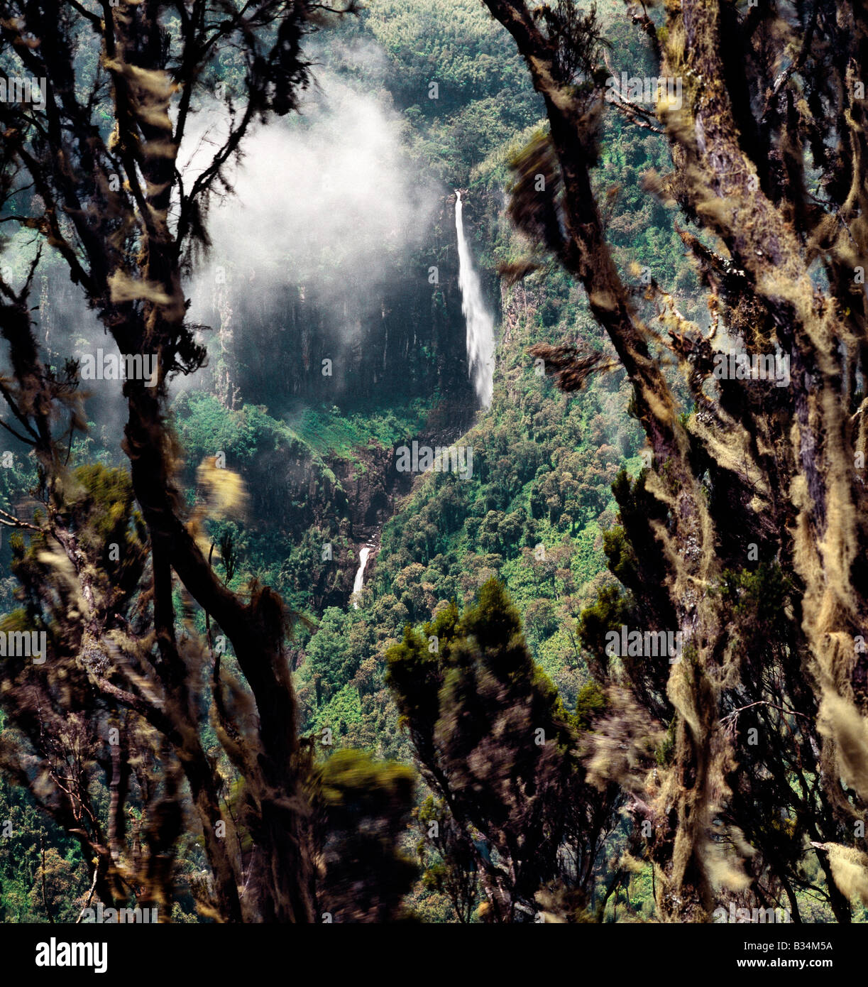 Kenia, zentralen Hochland Aberdare Berge. Gerahmt mit Flechten bewachsenen riesige Heidekraut, sinkt die beeindruckende Gura-Wasserfälle dramatisch aus Bambuswald unterhalb der Moorlandschaften der Aberdare Berge. Stockfoto