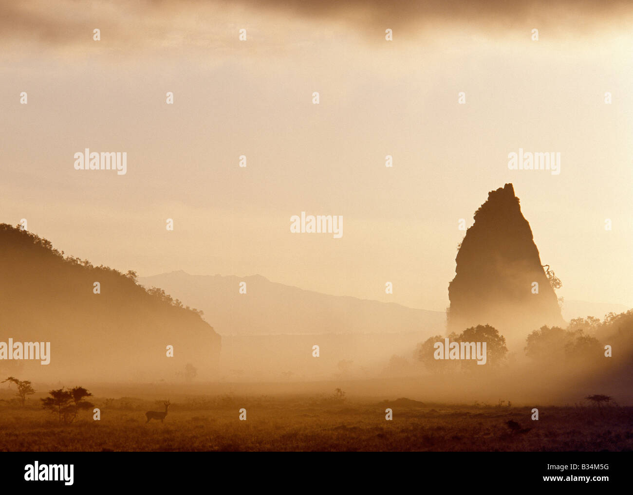 Kenia, Naivasha, Hells Gate-Nationalpark. Am frühen Morgen Boden Nebel umgibt Fischers Turm, eine alte vulkanische Stecker eine Stockfoto