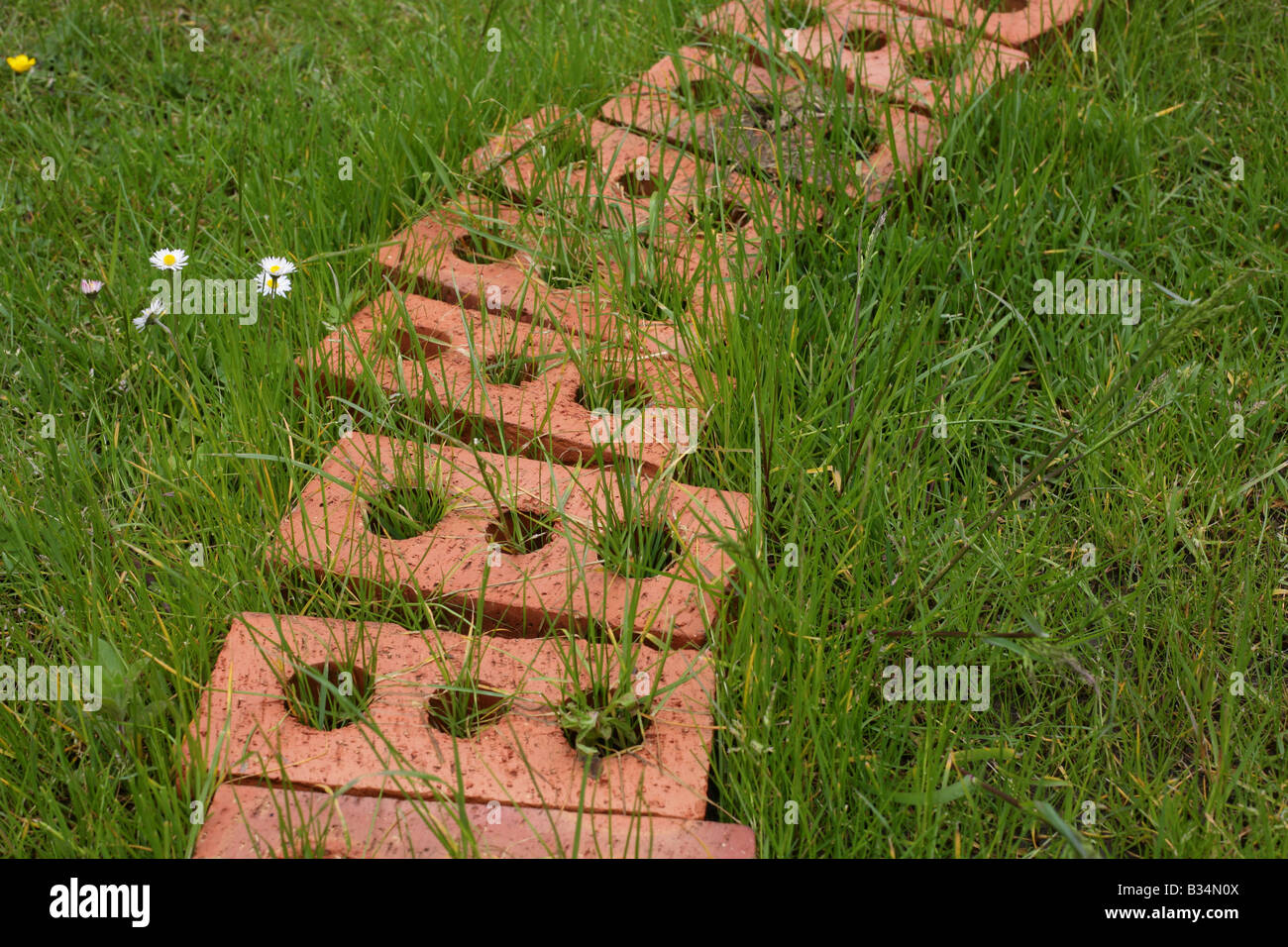 Ziegelsteinweg in Rasen Stockfoto