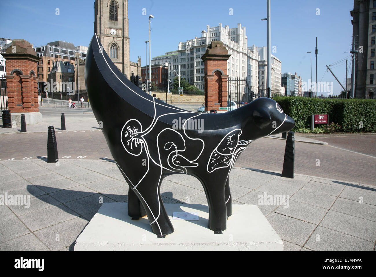 Schleife des Lebens, Superlambanana, Liverpool 2008 Kulturhauptstadt Europas Stockfoto