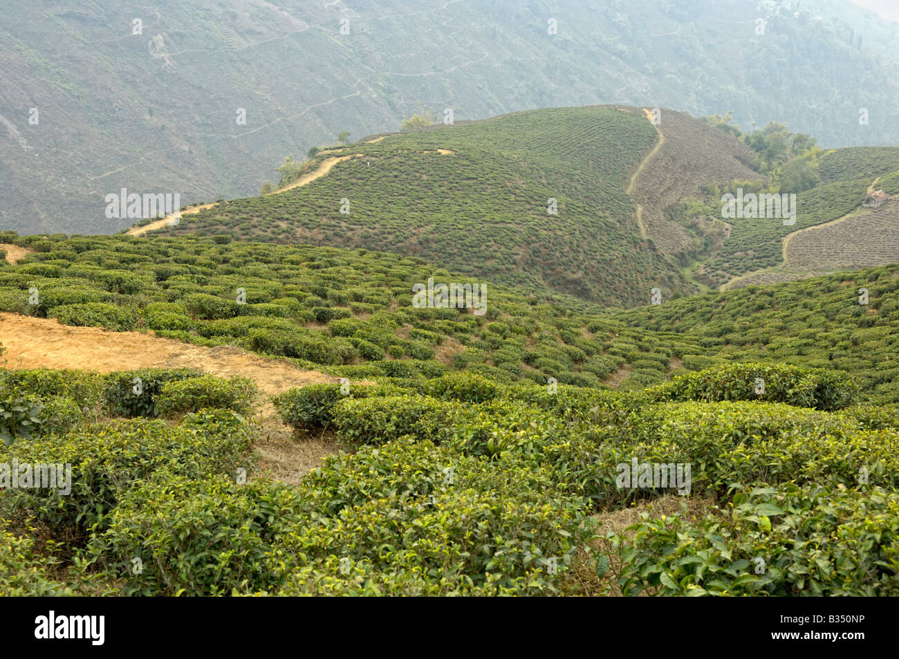 50+ Himalaya Garten, Himalayagarten und zen garten beim nepal