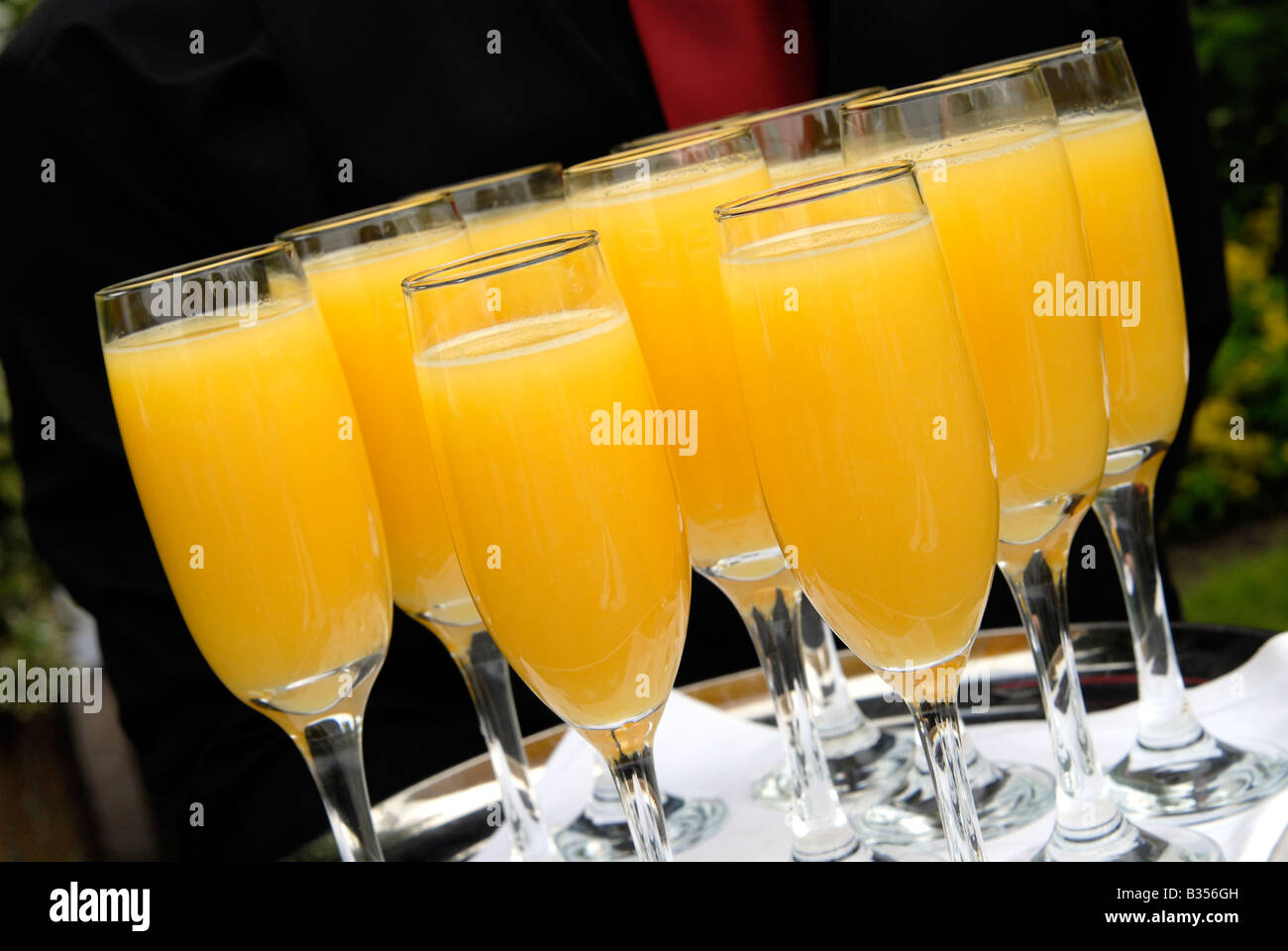 Ein Tablett mit Gläsern Champagner-Cocktail "Bucks Fizz" bei einer Hochzeitsfeier im Vereinigten Königreich. Stockfoto