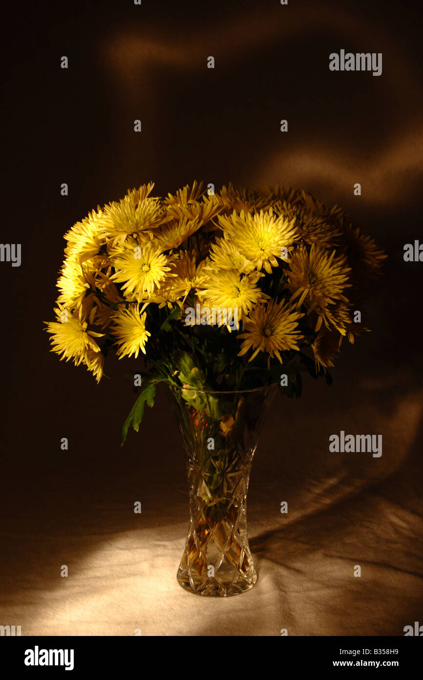 Eine Vase mit gelben Chrysanthemen. Stockfoto
