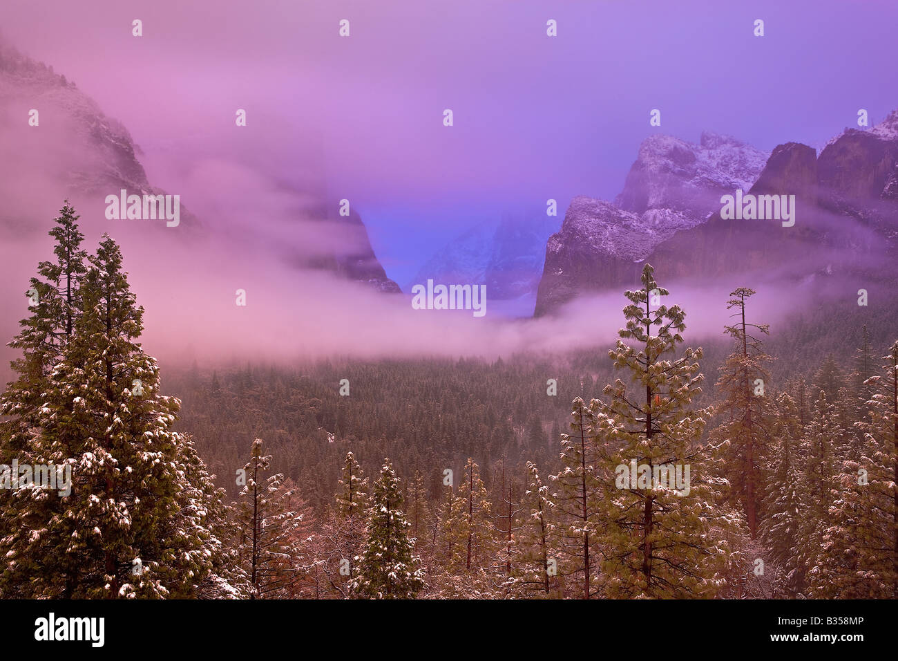 Ätherische Licht über Yosemite Tal, Yosemite-Nationalpark, Kalifornien, USA Stockfoto