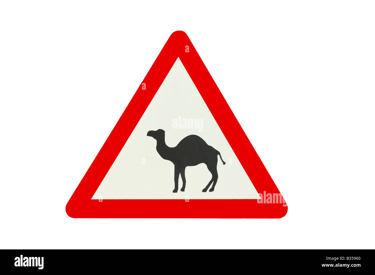 Verkehr melden - Vorsicht bei Kamele! Anzeichen wie diese können im Süden Israels, in der Nähe von Straßen in der Negev-Wüste Stockfoto
