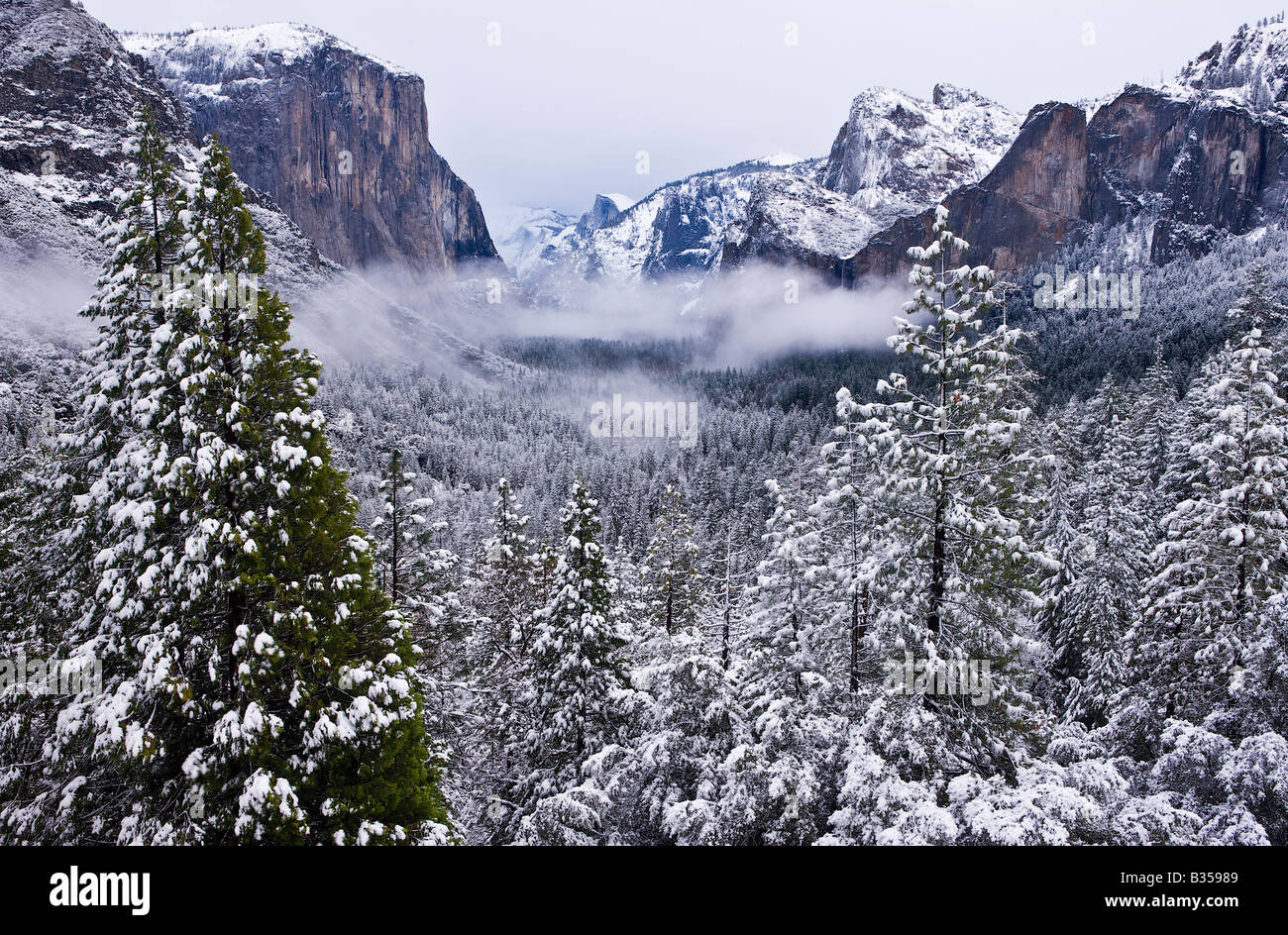 Ein Clearing Winter Sturm die Schönheit des Yosemite Valley Yosemite Nationalpark, Kalifornien USA zeigt Stockfoto