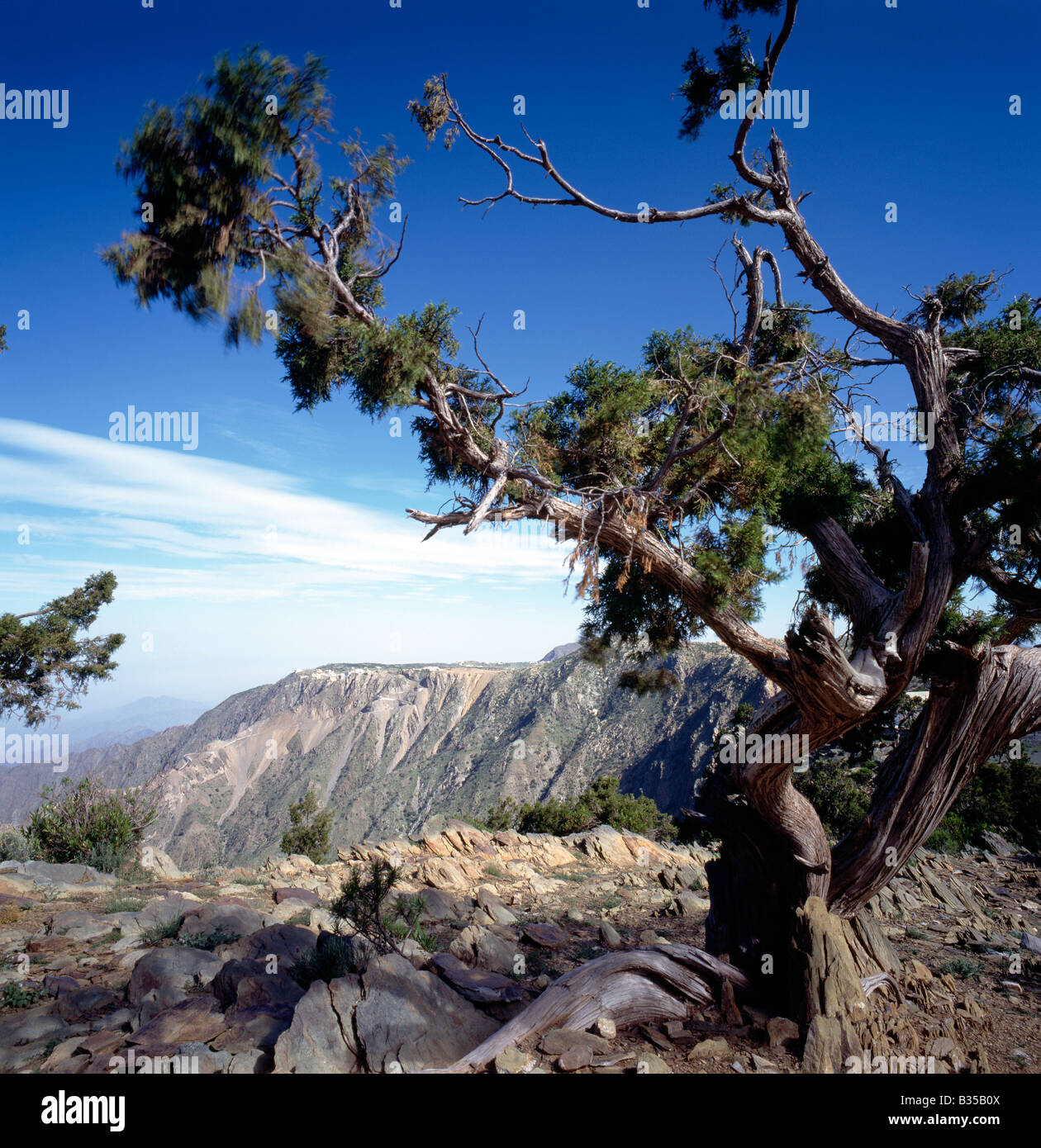 Schroffe Berge und Landschaft, Asir Nationalpark (Al Soudah) Stockfoto