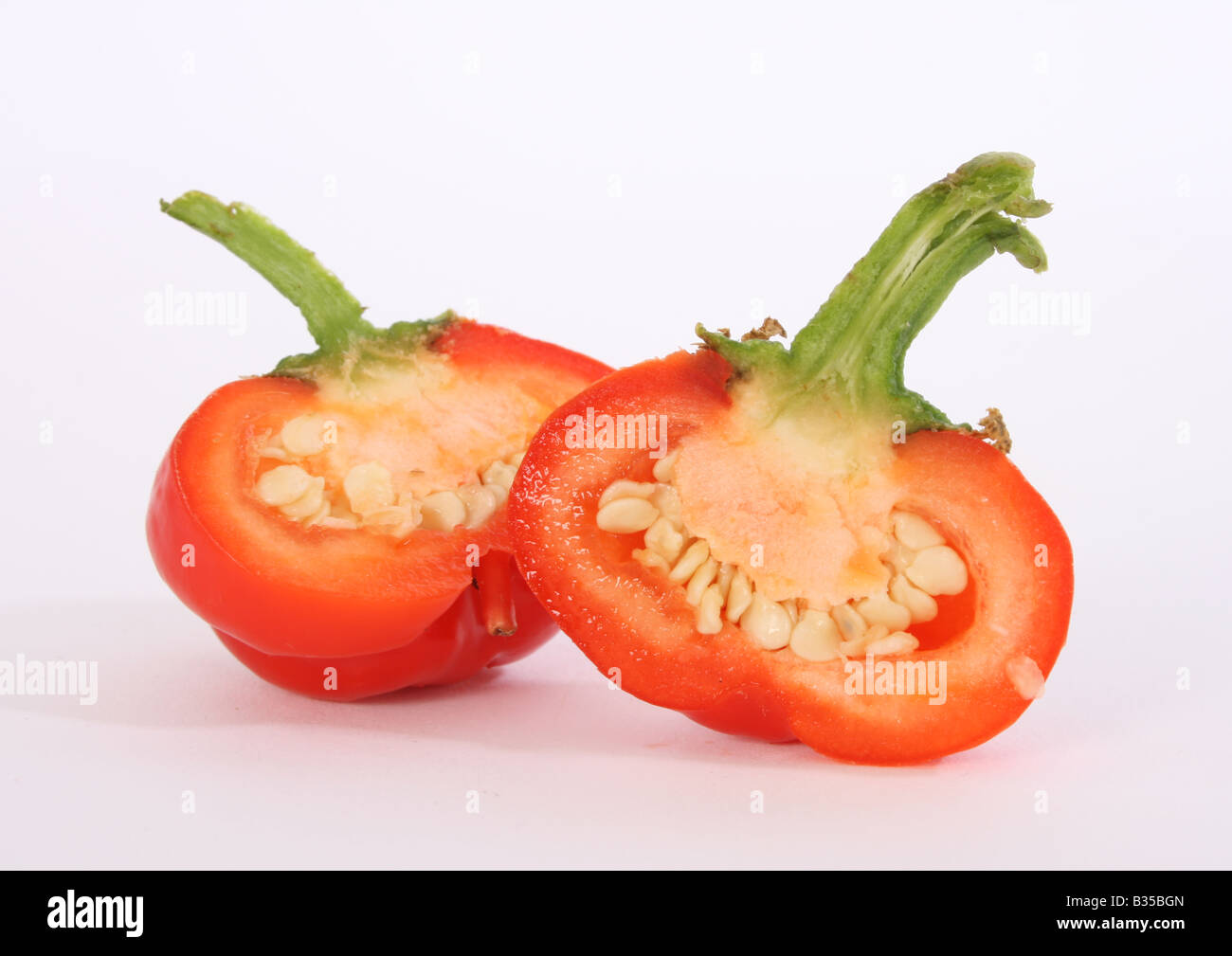 kleine rote Paprika halbieren, Samen, Bio home grown "Mini-Glocke" Vielfalt zu zeigen. Stockfoto