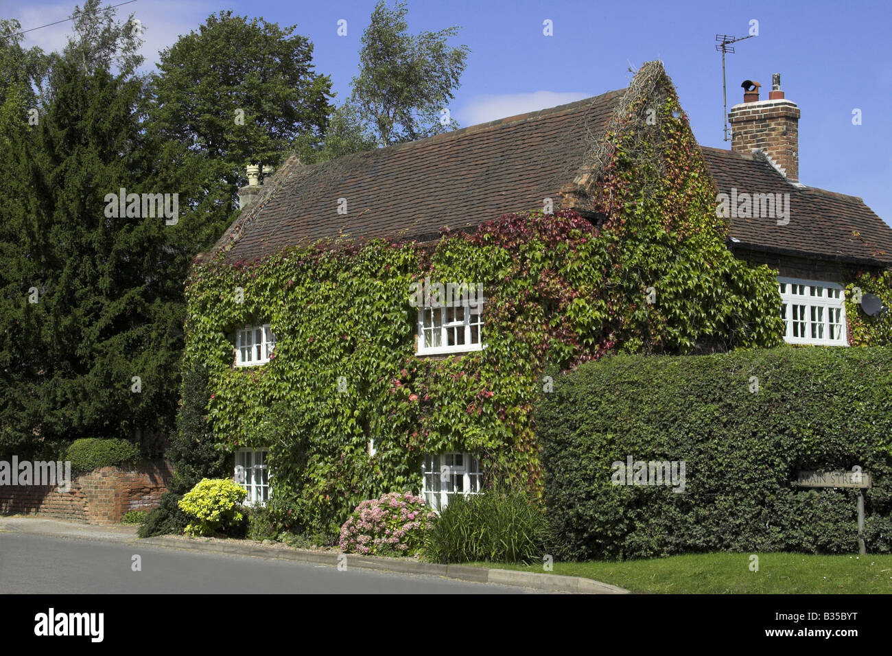 Ein Efeu bedeckt Haus in ein englisches Dorf Stockfoto