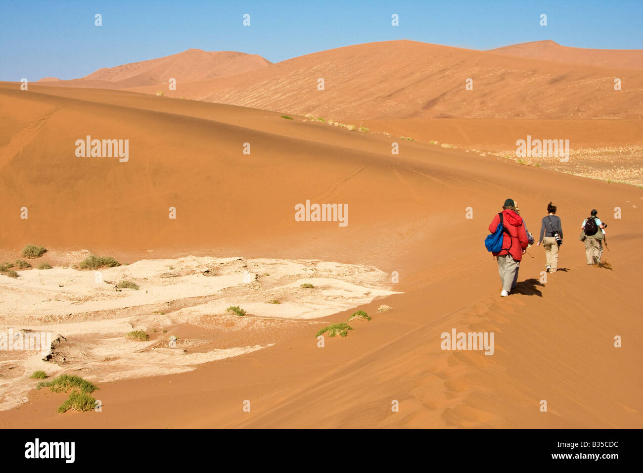 Besucher wandern zwischen Sanddünen in Namib-Naukluft-Park Sossusvlei in Namibia Afrika Stockfoto