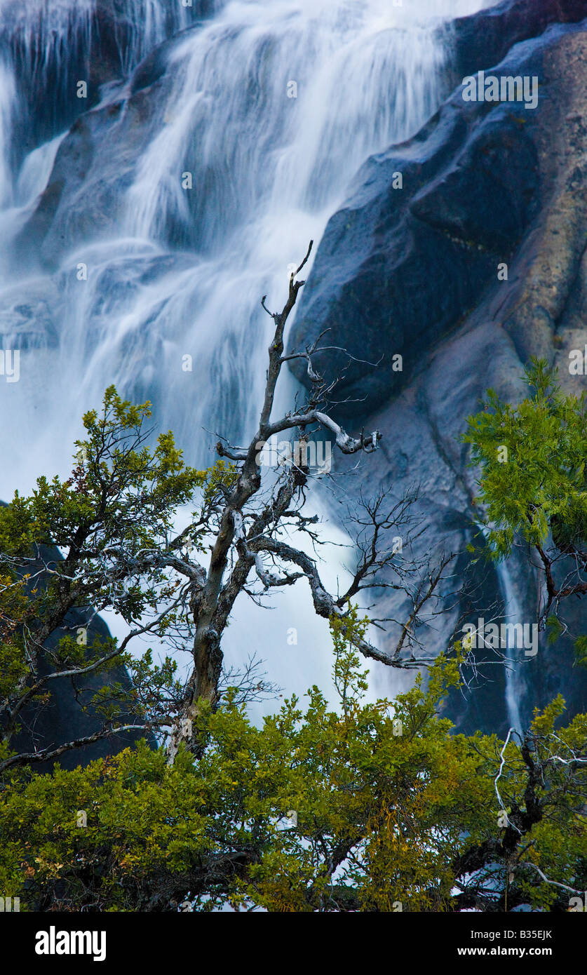 Schwere Feder Schneeschmelze Ergebnisse in einem dramatischen Wasserfall Cascade Creek Falls Yosemite Nationalpark Kalifornien USA Stockfoto