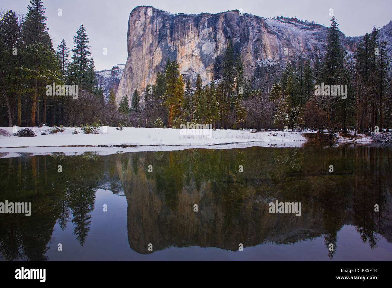 El Capitan spiegelt in einen ruhigen Merced Fluss im Winter Yosemite Nationalpark Kalifornien USA Stockfoto