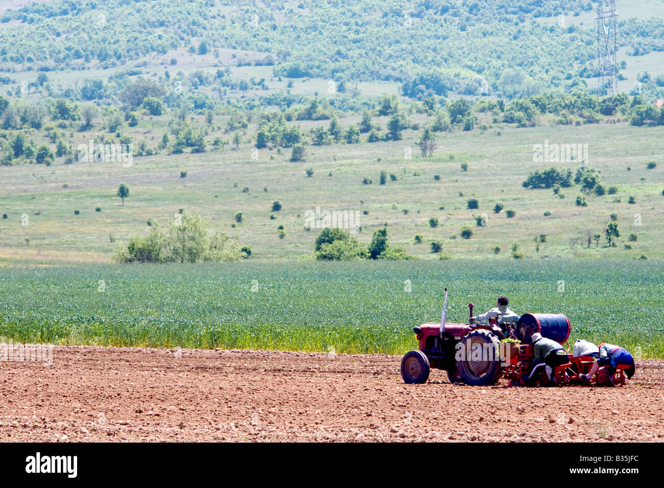 Landwirtschaft-Arbeitnehmer, die auf einen Traktor auf dem Gebiet Stockfoto