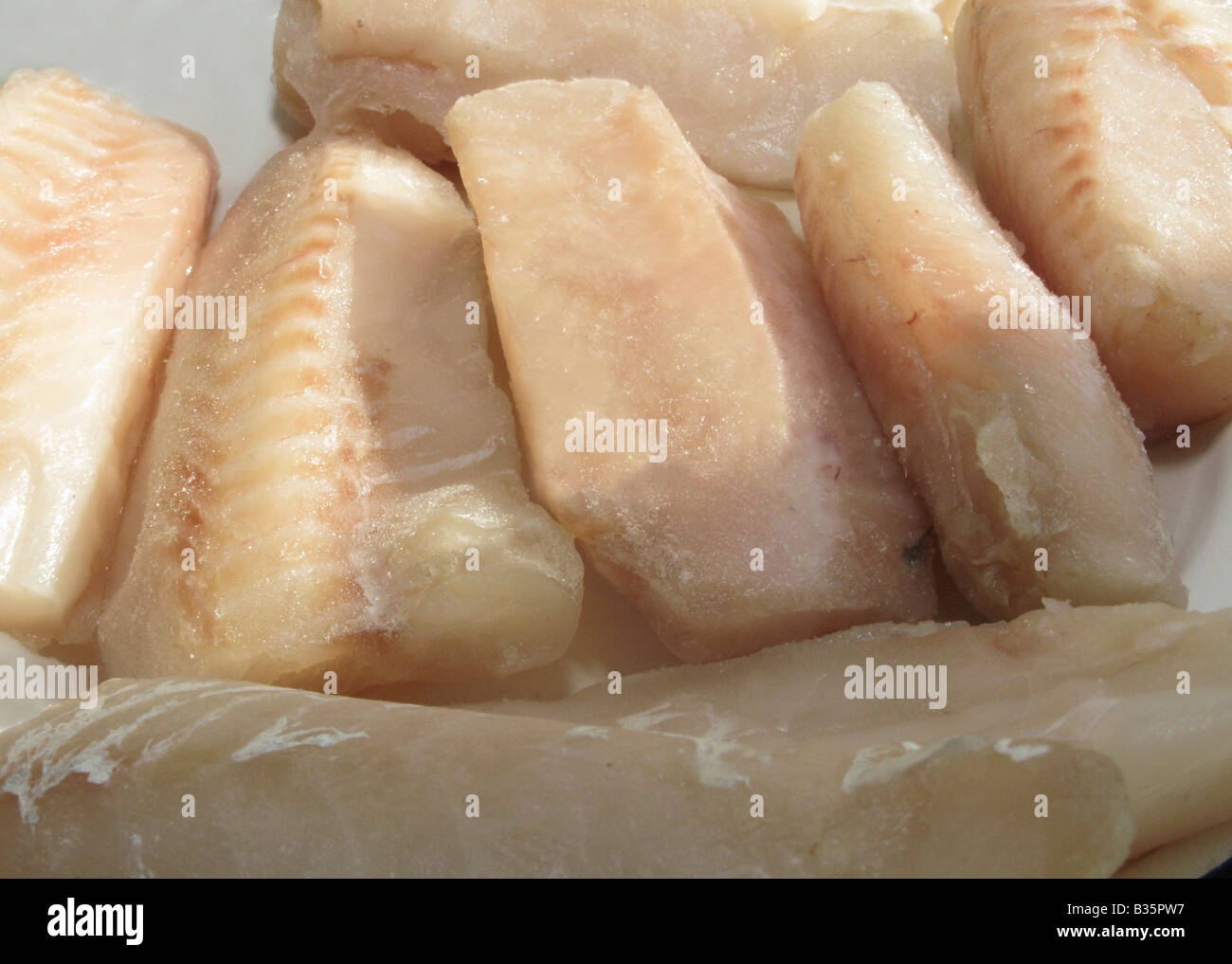 gesunde Ernährung Pollack Filet Auftauen bereit zum Kochen Stockfoto