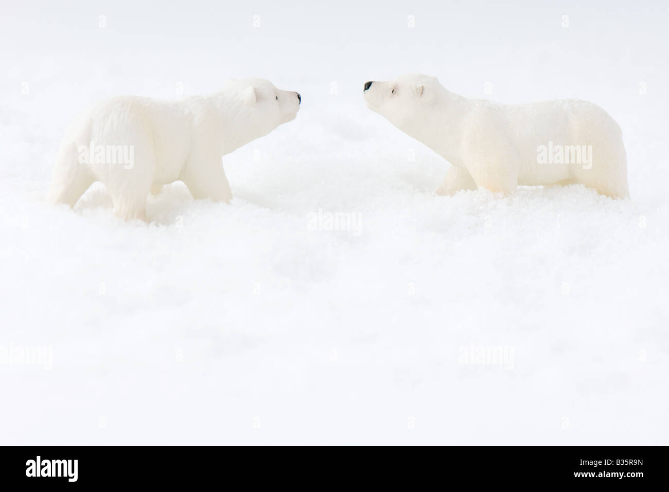 Spielzeug-Eisbären in Schnee, Angesicht zu Angesicht, Seitenansicht Stockfoto