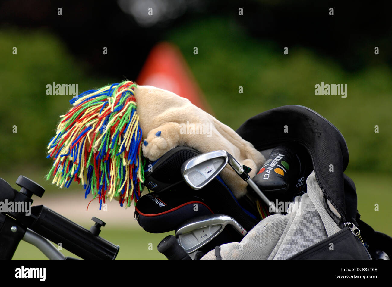 Golf-Kopfbedeckung Stockfoto