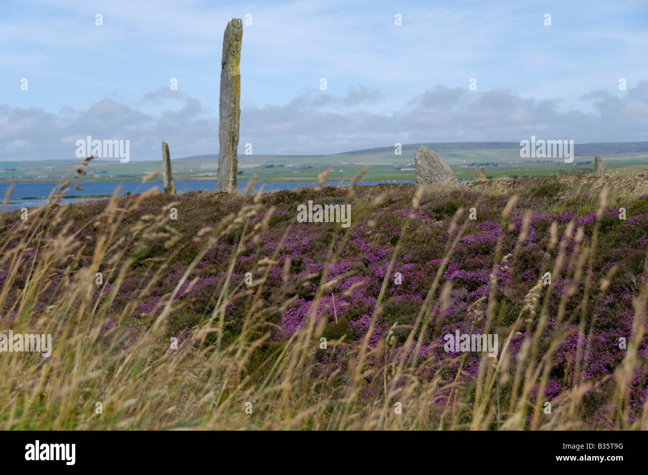 Ring of Brodgar Menhire Stenness Orkney Stockfoto