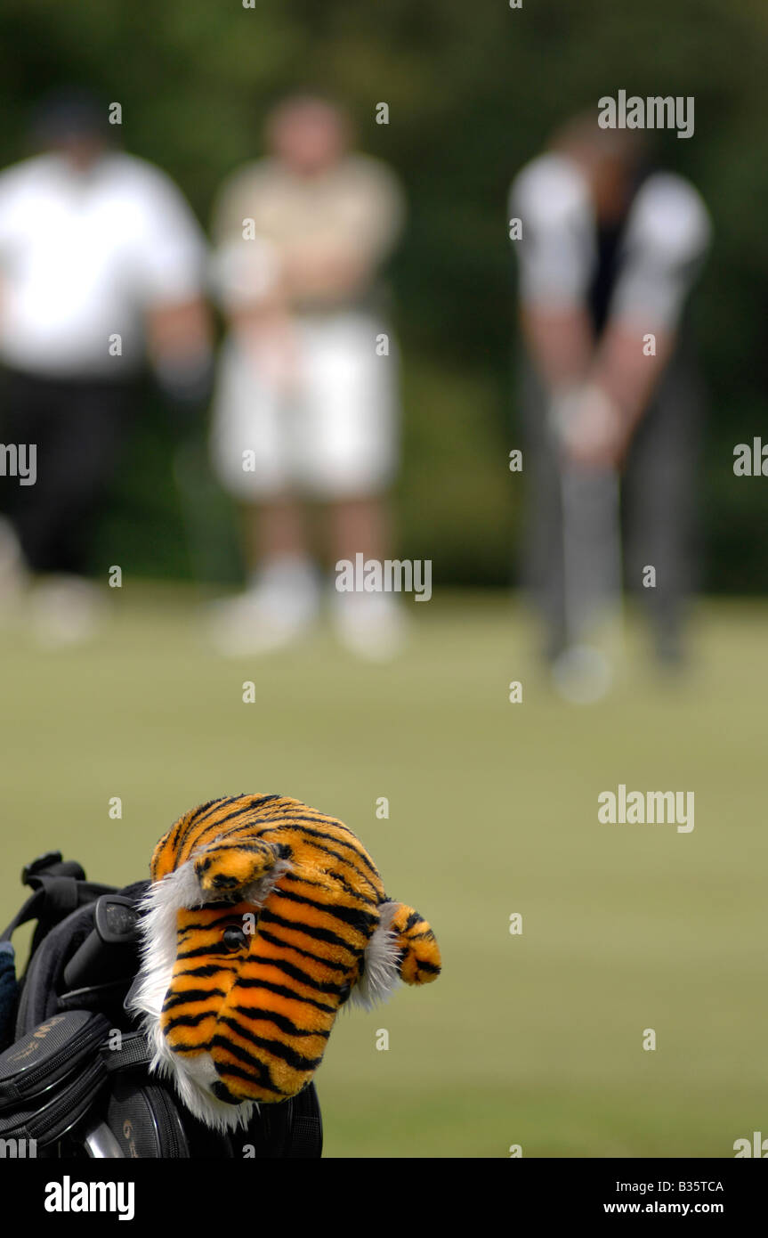 Tiger Golf Kopfdeckel Stockfoto