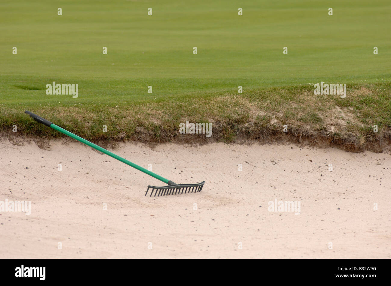 Golf Sandbunker Rake Stockfoto