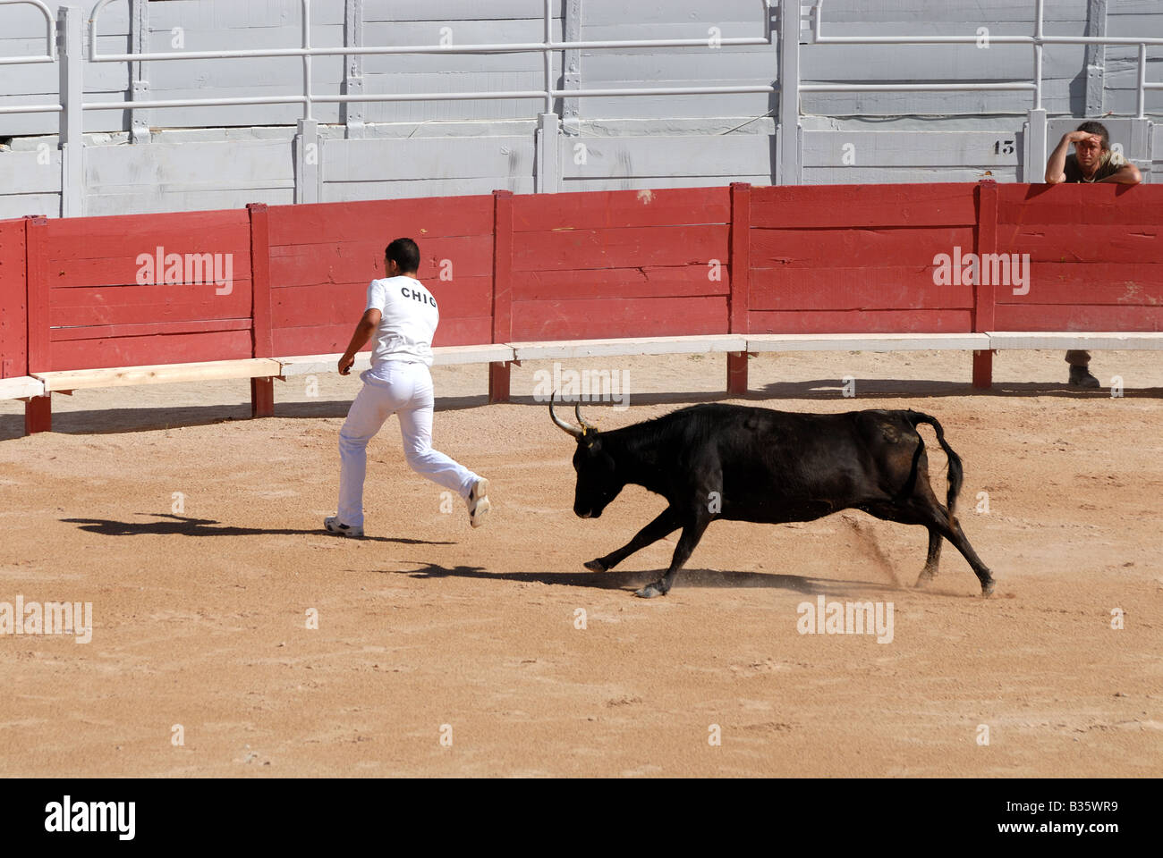 Jagd auf den Stier in der Roman-Arena in Arles, Frankreich Stockfoto