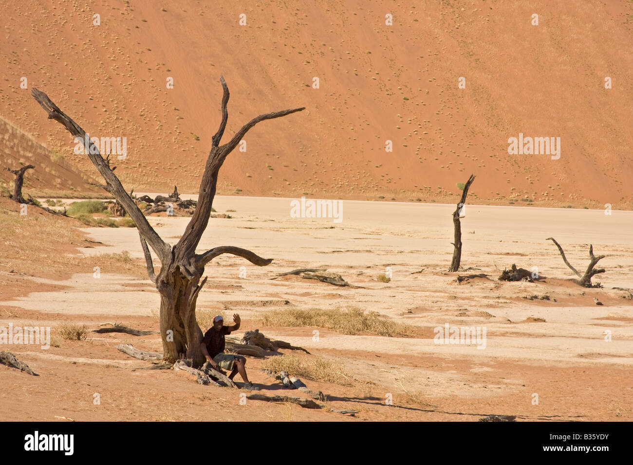 Mann sitzt unter Skelettreste von Camel Thorn Akazie auf dem Kalkstein und Sanddünen des Dead Vlei in Namibia Afrika Stockfoto