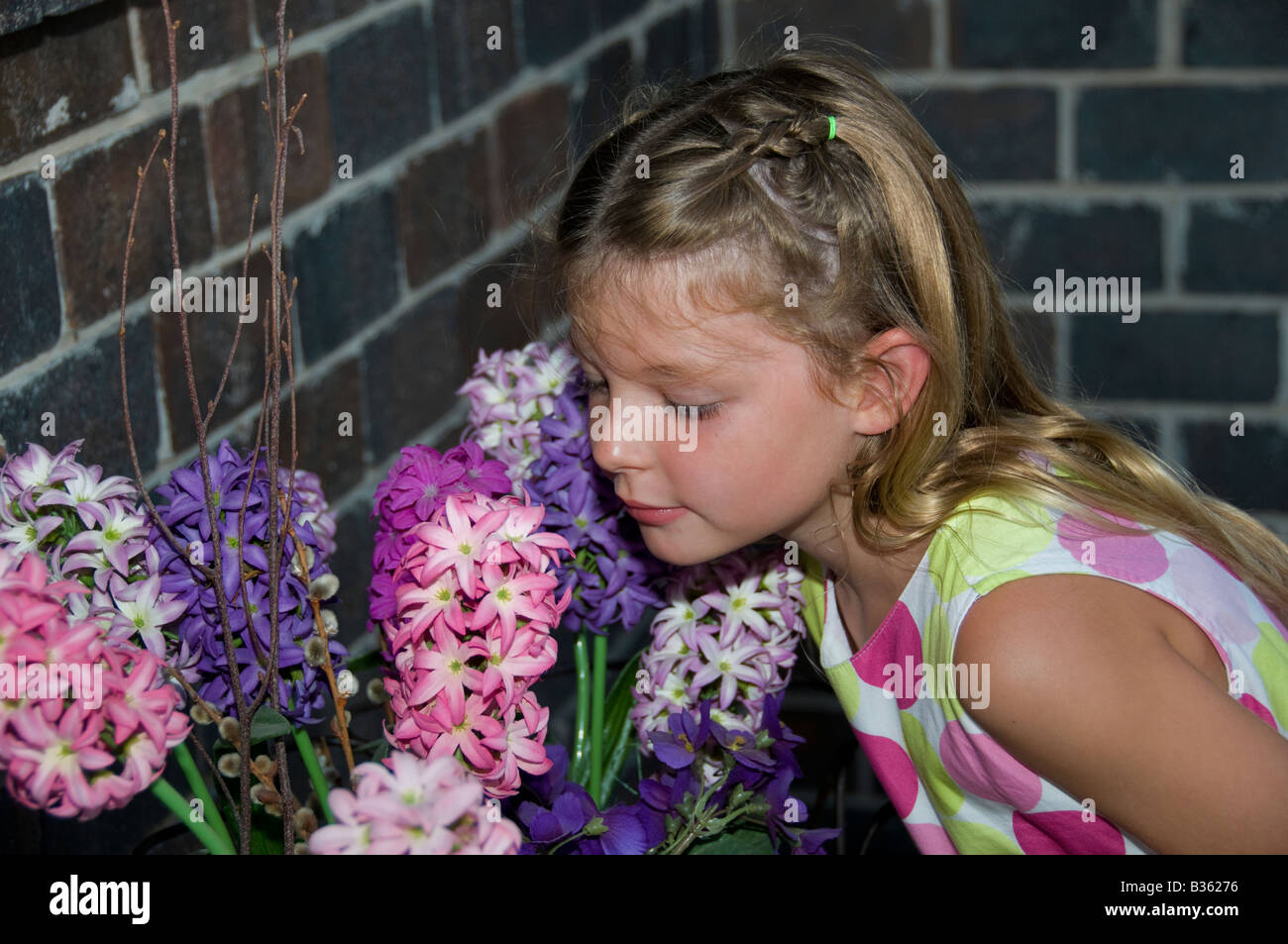 Eine junge kaukasische Mädchen, Alter 5 Jahre, beugt sich zu riechen lila und rosa Hyazinthe blüht. USA. Stockfoto