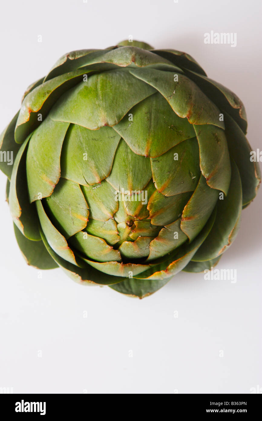 Eine Artischocke auf weißen Hintergrund für Ausschnitt. Stockfoto