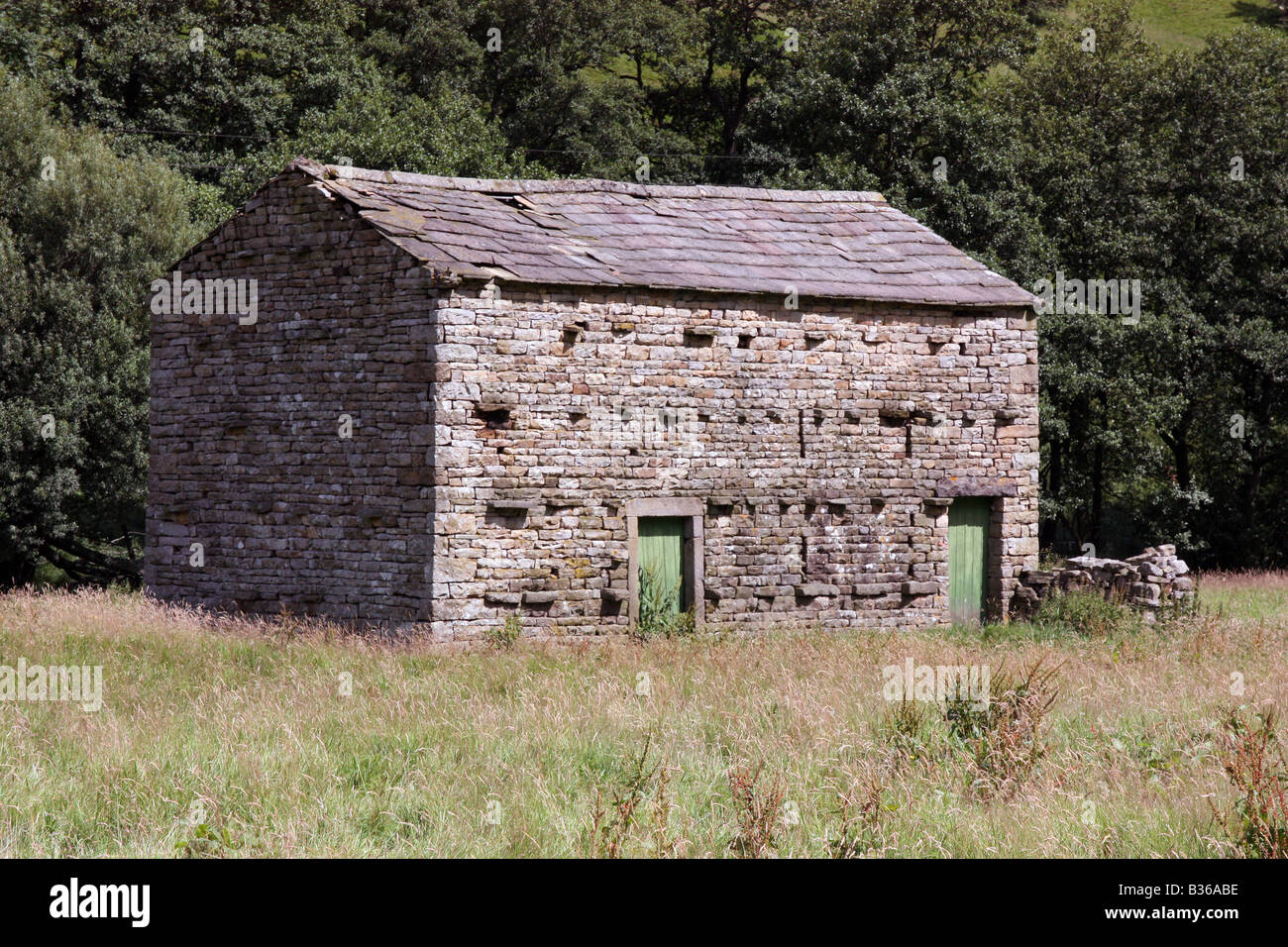 Alte Feld Scheune, obere Swaledale Stockfoto