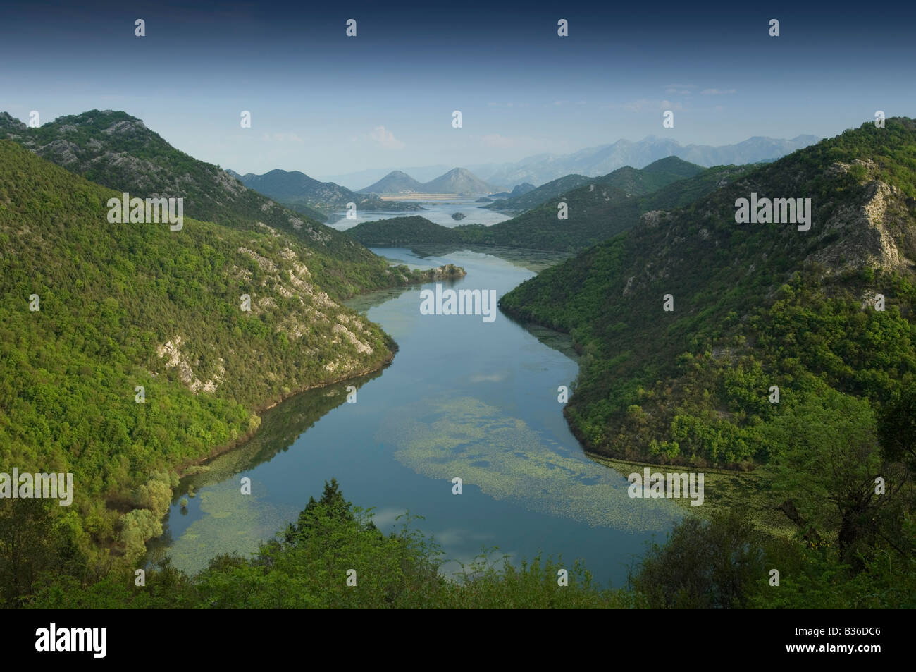 Blick auf Lake Skadar Nationalpark in Richtung Albanien in Montenegro Stockfoto