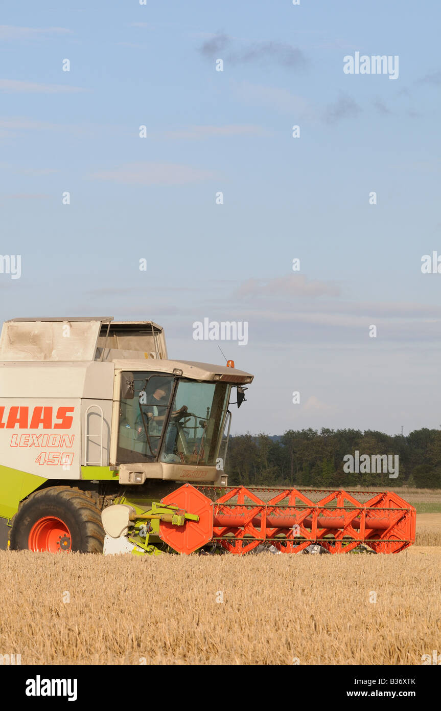 CLAAS Lexion 450 kombinieren Harvester schneiden Weizen in Kent, england Stockfoto