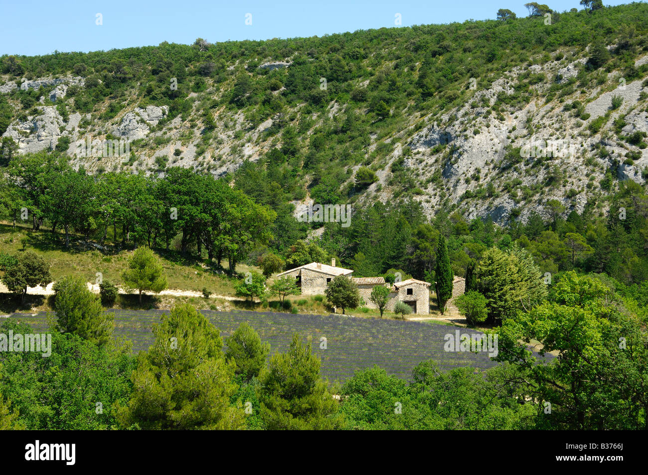 Verlassenen Bauernhof mit Lavendelfeld, Provence, Frankreich Stockfoto
