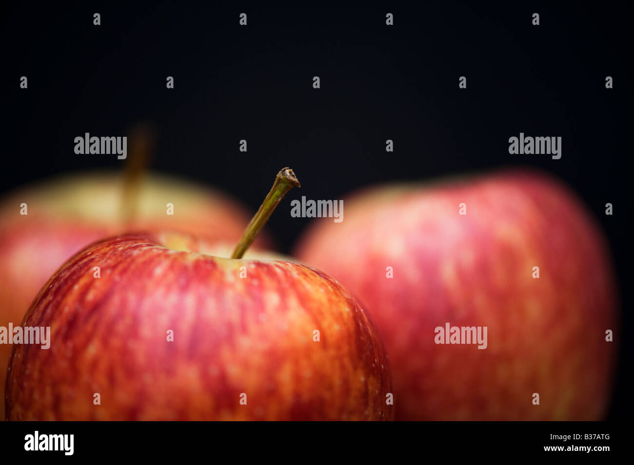 Malus Domestica. Royal Gala Äpfel vor schwarzem Hintergrund Stockfoto